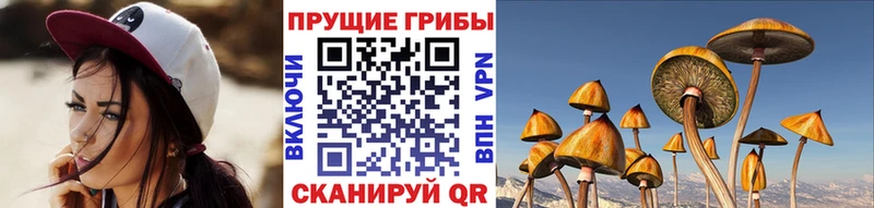 Галлюциногенные грибы мухоморы  что такое   Курильск 